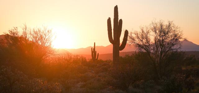 Image of Arizona desert 